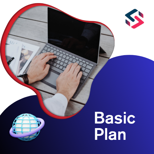 Basic Plan